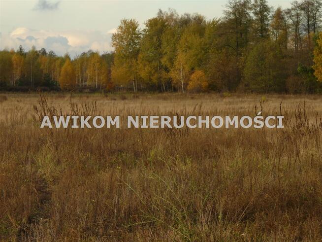 Działka rekreacyjna Puszcza Mariańska