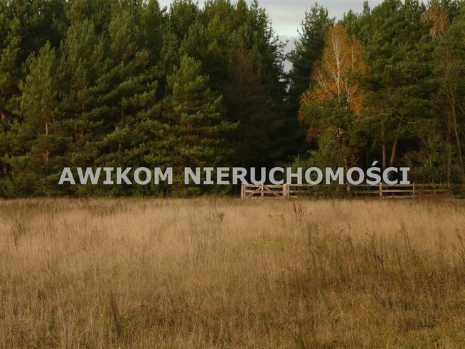 Działka rekreacyjna Puszcza Mariańska