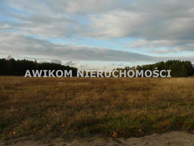 Działka usługowa Puszcza Mariańska