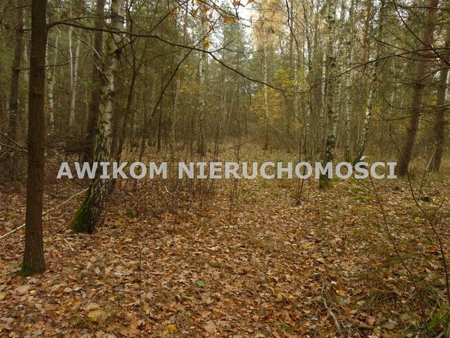 Działka rekreacyjna Wiskitki Antoniew