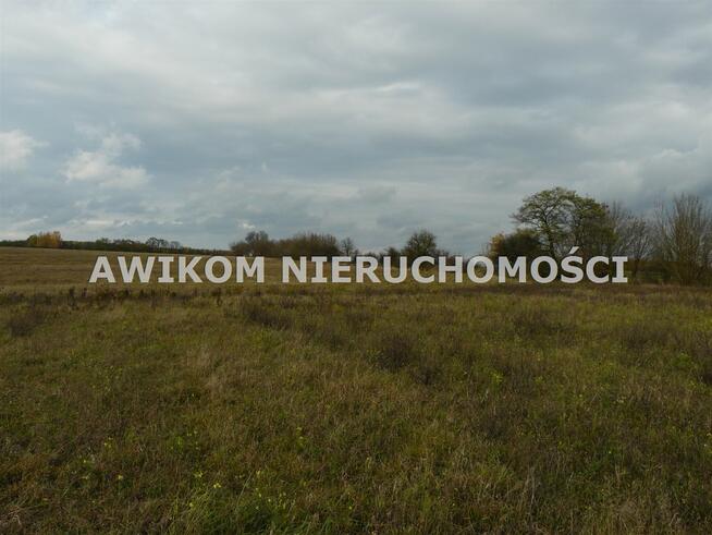 Działka rolna Puszcza Mariańska Wycześniak