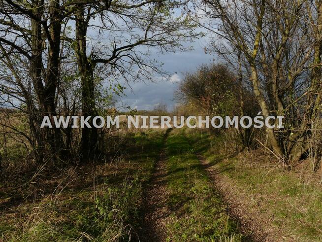 Działka rolna Puszcza Mariańska Wycześniak