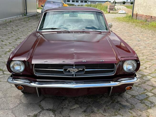 1965 Ford Mustang 289 v8 Automat Sprowadzony LUXURYCLASSIC