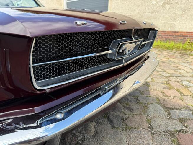 1965 Ford Mustang 289 v8 Automat Sprowadzony LUXURYCLASSIC