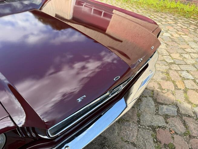 1965 Ford Mustang 289 v8 Automat Sprowadzony LUXURYCLASSIC