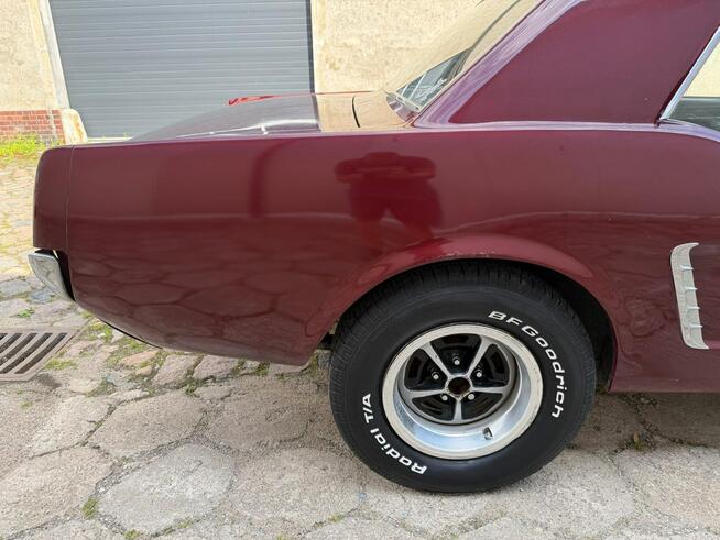 1965 Ford Mustang 289 v8 Automat Sprowadzony LUXURYCLASSIC