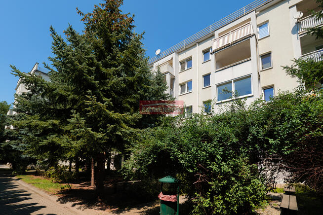 2 duże pokoje, kuchnia, blisko uczelni