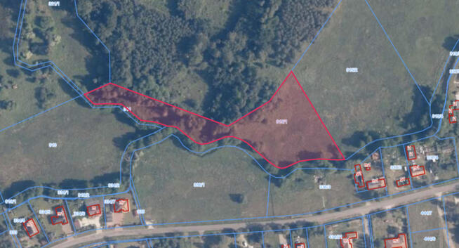 Działka rolna 9 846 m² przy lesie | Tanowo