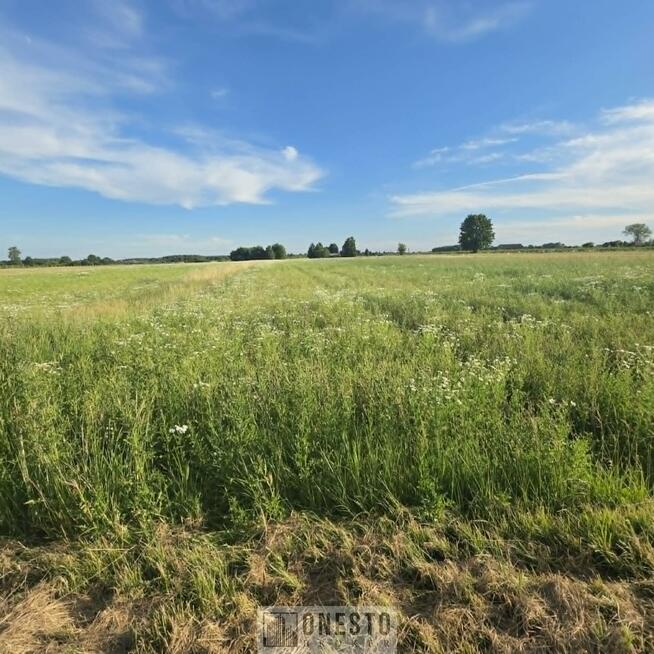 Działka rolno-budowlana Siedliska gm. Kamionka