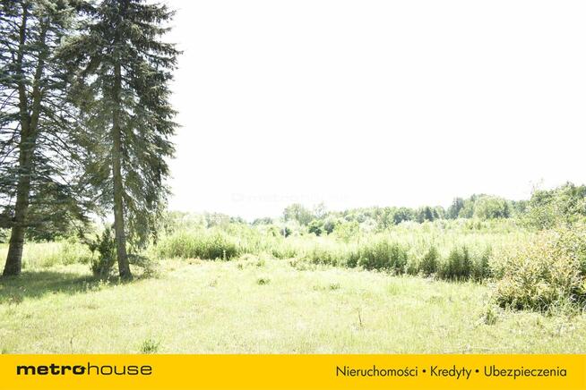 Działka budowlana 3000 m² potencjał inwestycyjny