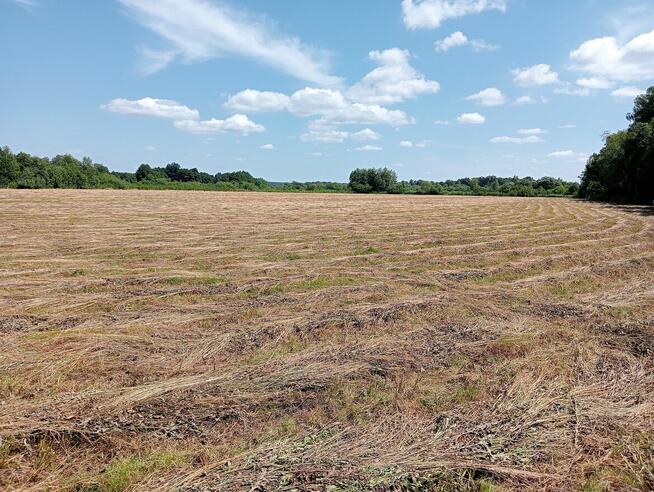 łąka 5,32ha na sprzedaż