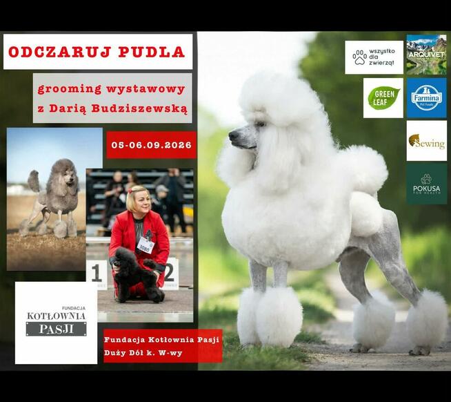 Szkolenia dla groomerów