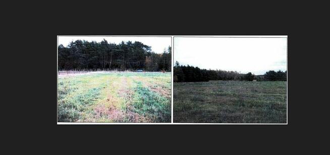Działka, 4 999 m², Słonów