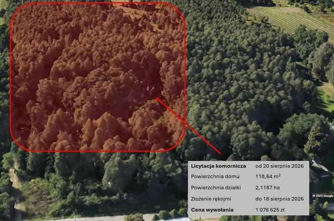 Blisko Łodzi, las, ogromna działka, licytacja komornicza