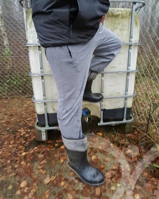 Szukam pracy w gospodarstwie rolnym