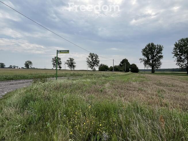 Działka w Grodnie pod zabudowę jednorodzinną