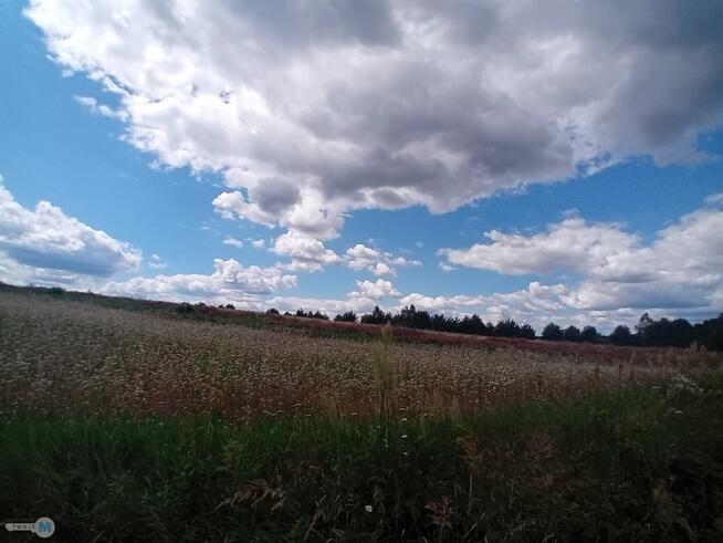 Działka usługowa Bieliny Belno