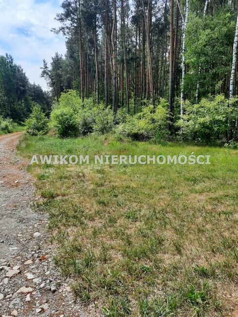 Działka rolna Puszcza Mariańska Wycześniak