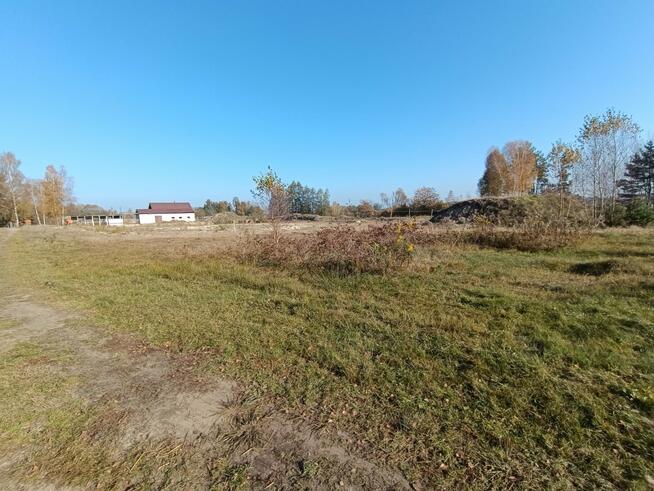 Działka Włoszczowa Dąbie