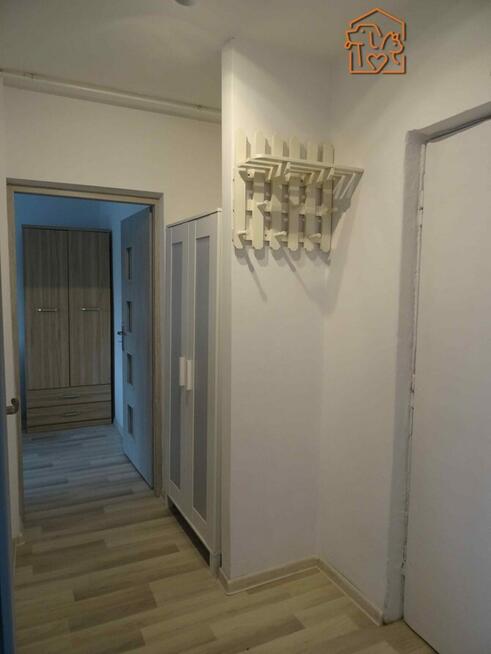 2 pokoje pet-friendly - Grobla 6c