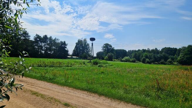 Działka rolna Borsukówka gm. Dobrzyniewo Duże,