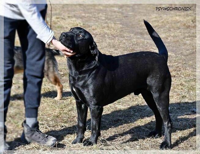 Sancho – szuka prawdziwej rodziny, takiej już na zawsze