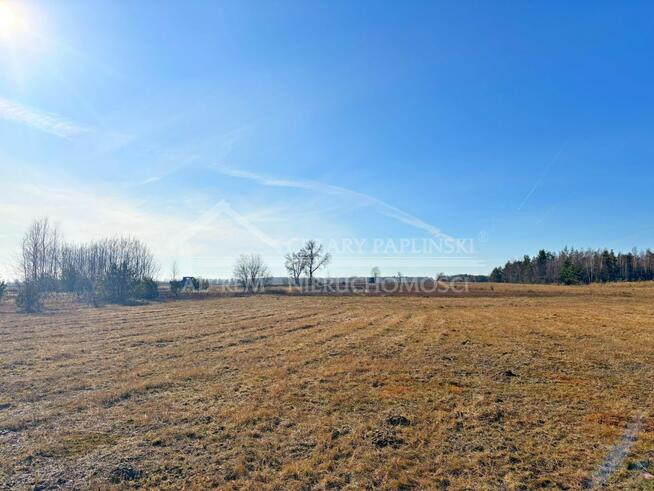 Działka przemysłowa Trzciniec gm. Lubartów, Trzciniec, Lubartów