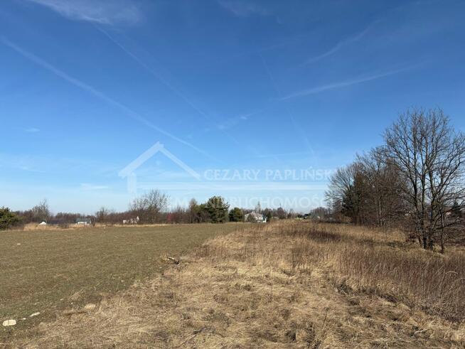 Działka inwestycyjna Trzciniec gm. Lubartów, Trzciniec, Lubartów