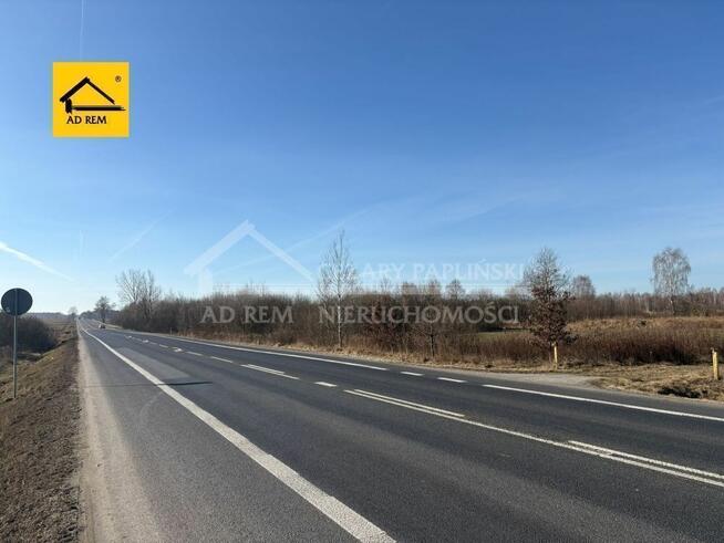 Działka usługowa Trzciniec gm. Lubartów, Trzciniec, Lubartów