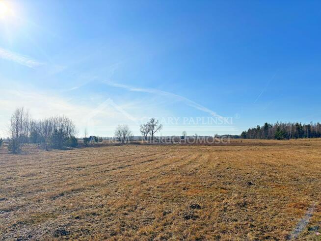 Działka usługowa Trzciniec gm. Lubartów, Trzciniec, Lubartów