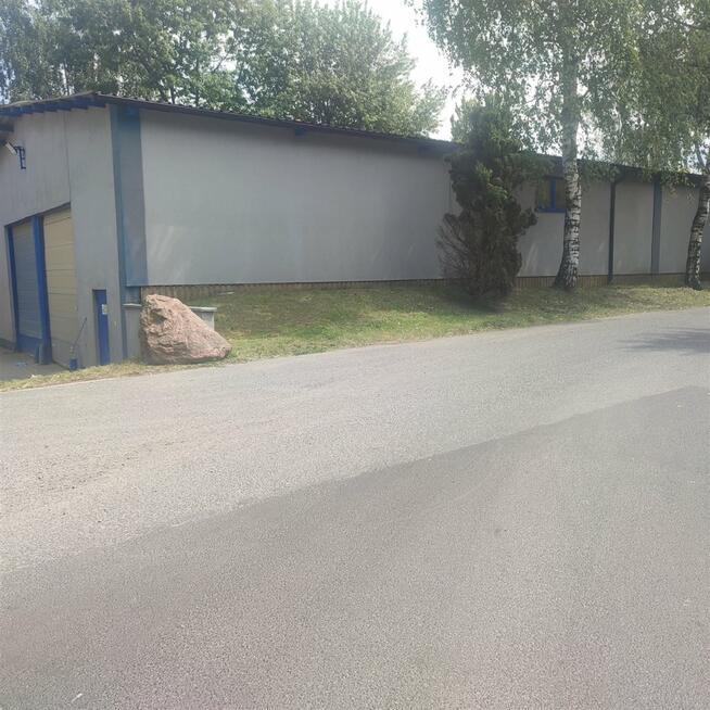 Lokal użytkowy Pszczyna