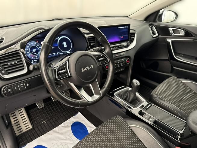 Kia Cee'd 1,5 T-GDI(160 KM) Business Line Plus Salon PL Faktura Vat