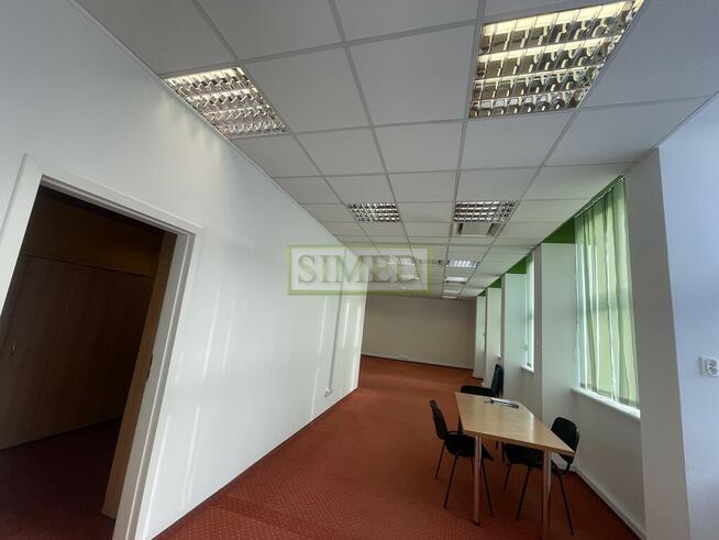 Całe piętro,klimatyzacja,dostęp24h,wys.3m