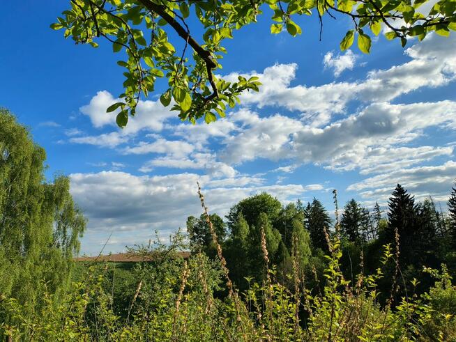 ATRAKCYJNY DOM w górach sowich z pięknym ogrodem i jeszcze p