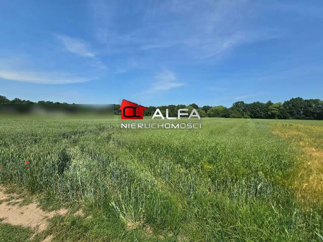 Działka rolno-budowlana Wierzbna gm. Żarów, Wierzbna