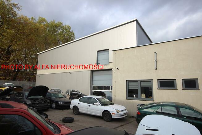 Lokal użytkowy Świdnica, okolice Centrum