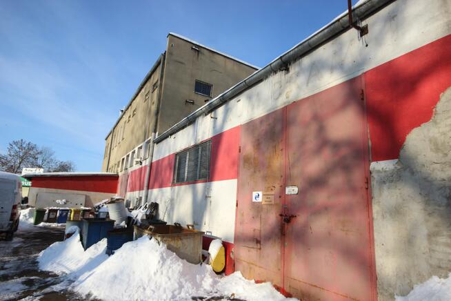 Lokal użytkowy Świdnica