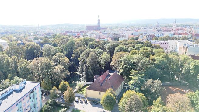 Lokal użytkowy Świdnica
