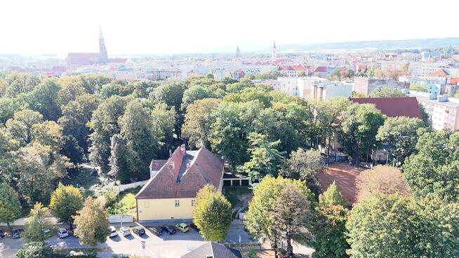 Lokal użytkowy Świdnica