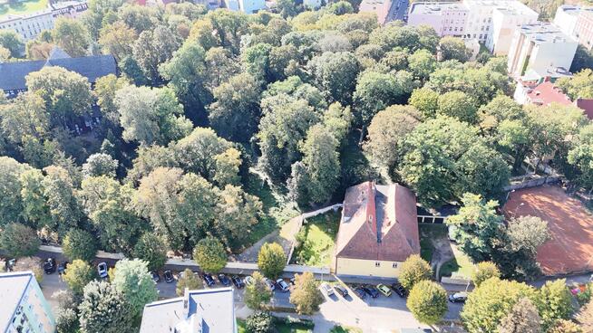 Lokal użytkowy Świdnica