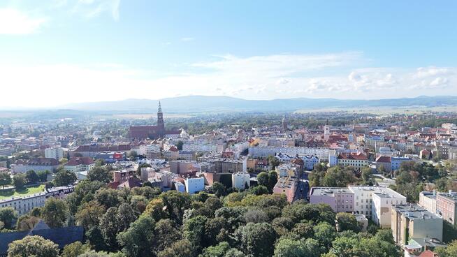 Lokal użytkowy Świdnica
