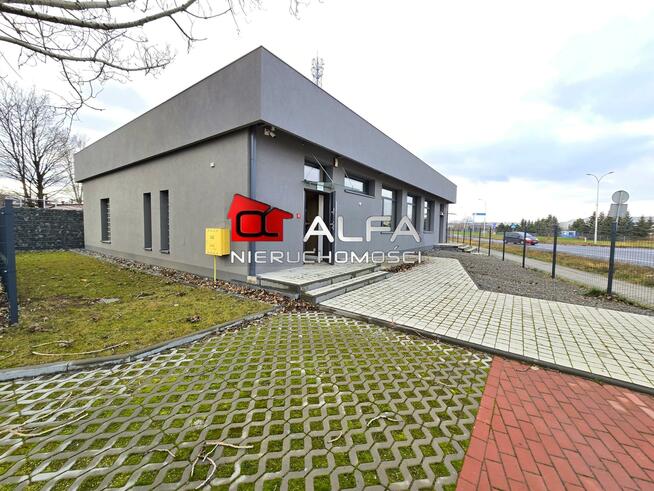 Lokal użytkowy Świdnica