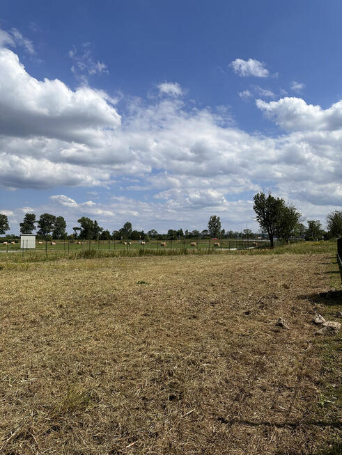 MULCZOWANIE TRAWY| Koszenie nieużytków| Czyszczenie działek