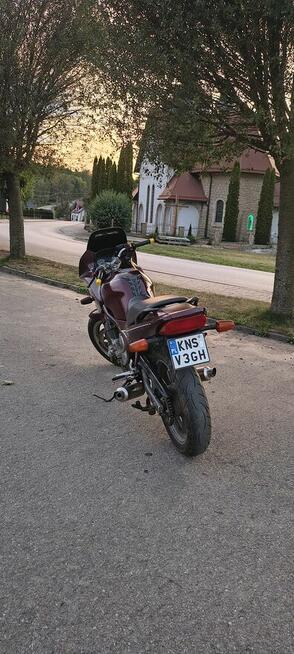 Yamaha XJ 600S 95r
