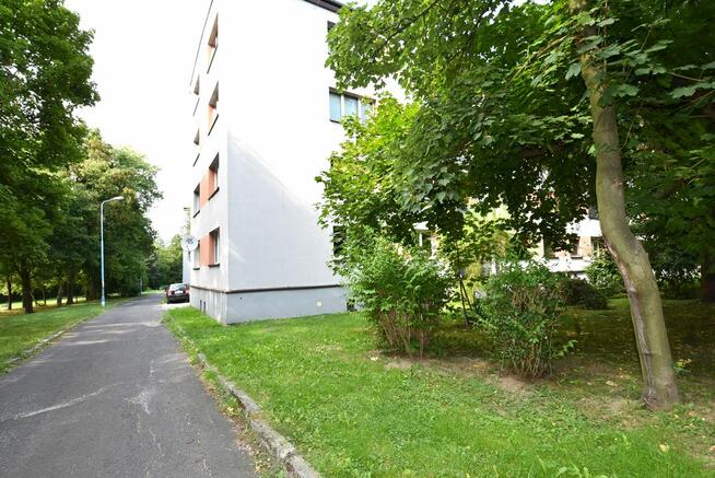 Jasne i ciepłe M3 na I piętrze.