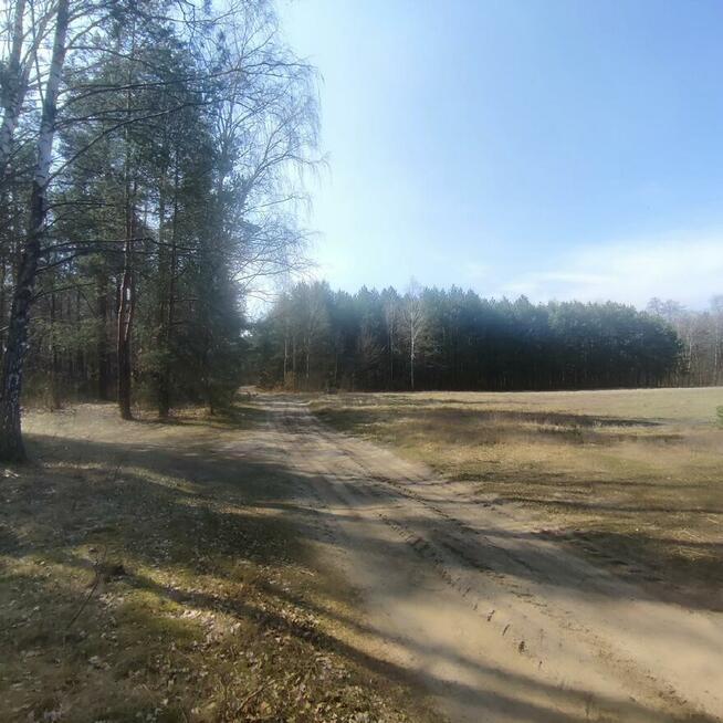 Sprzedam działkę, gm. Grabów nad Pilicą, Augustów