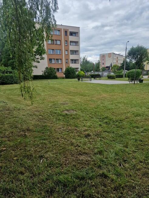 Transport busem, Przeprowadzki, Opróżnianie lokali.15kmFree!