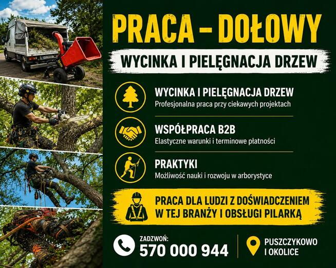Praca - Pomocnik Alpinisty
