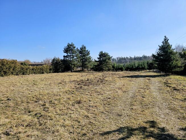 Działka budowlana 8600 m2 w klimatycznej miejscowości / Osuchów / Mszczonów