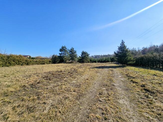 Działka budowlana 8600 m2 w klimatycznej miejscowości / Osuchów / Mszczonów